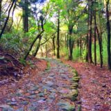 戸塚郵便局（神奈川県）の風景印