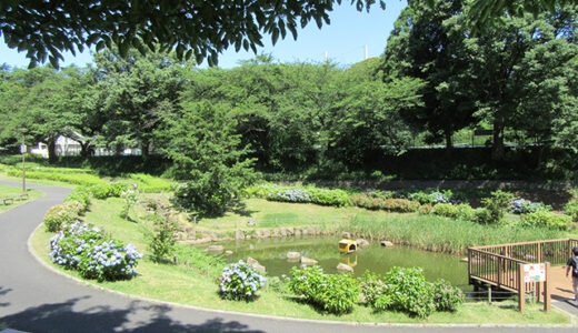 横浜星川郵便局（神奈川県）の風景印